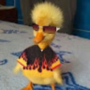 Meet your Posher, Jazmine